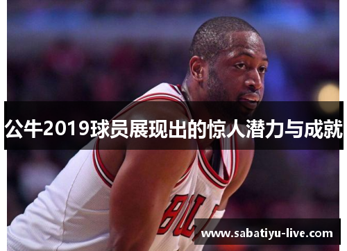 公牛2019球员展现出的惊人潜力与成就